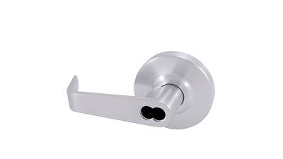 CTL886 Lever Trim